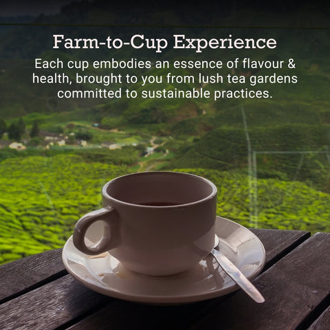 farm to cup tea experience, organic tea plantation view, fresh brewed tea cup, sustainable farming, premium herbal tea, healthy beverage