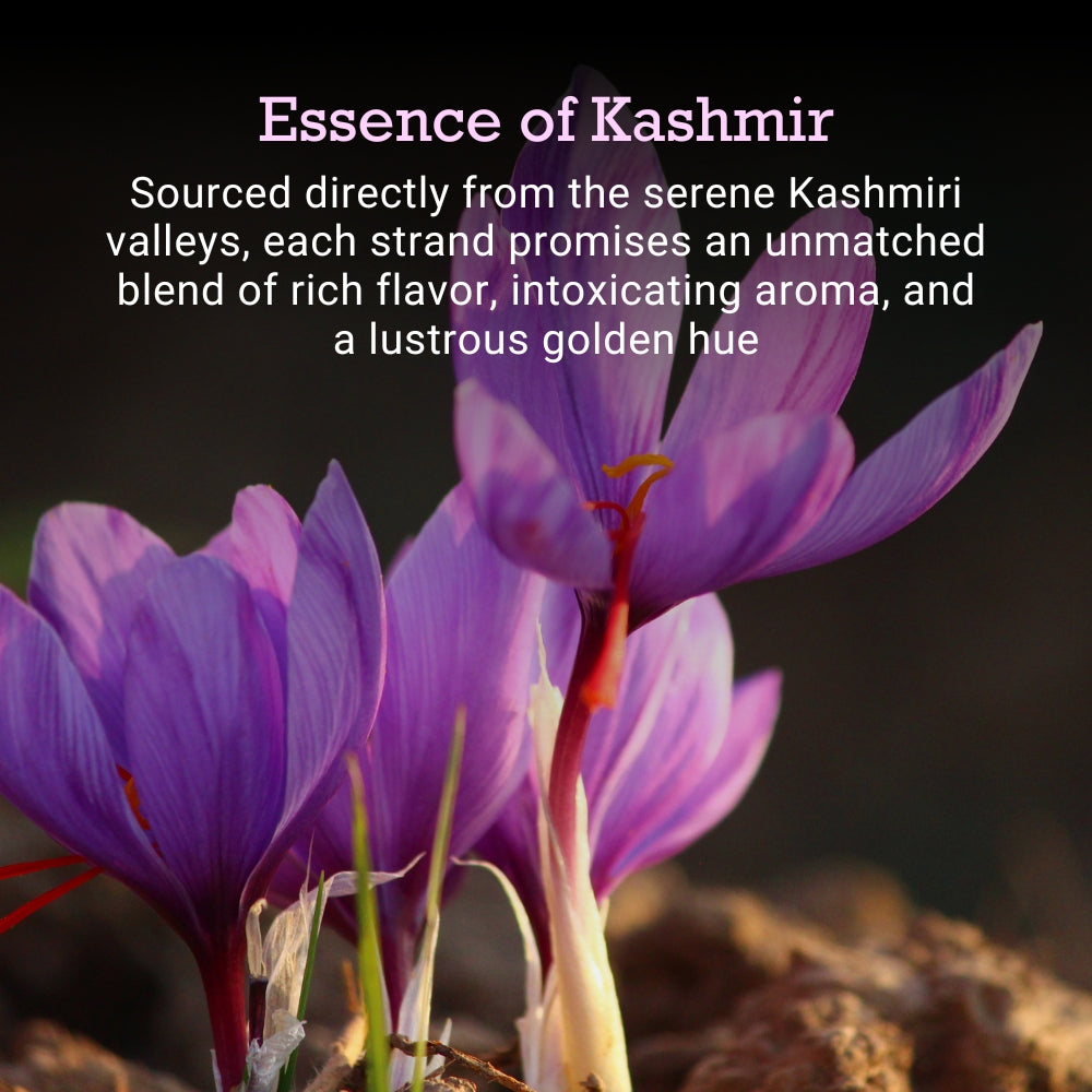 kashmiri saffron flower bloom, premium kesar origin, rich aroma flavor golden hue, organic saffron strands, luxury spice from kashmir valleys