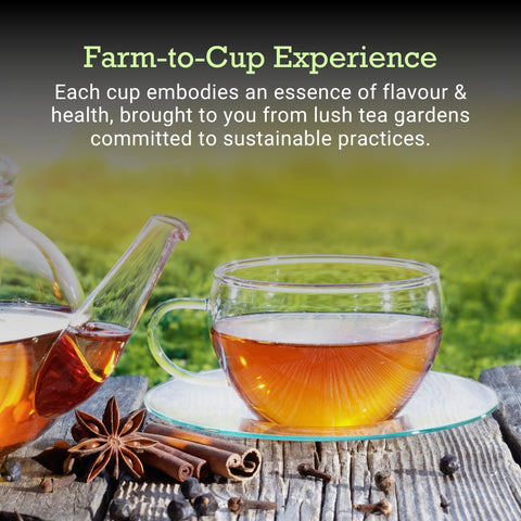farm to cup tea experience India, organic tea from tea gardens India, sustainable tea farming India, fresh herbal tea cup India, premium loose leaf tea India, natural detox tea experience, healthy tea lifestyle India, eco friendly tea production India, antioxidant rich herbal tea, authentic Indian tea flavors, wellness tea from nature, pure organic tea India, traditional tea brewing experience, clean and natural tea India, sustainable organic beverages India