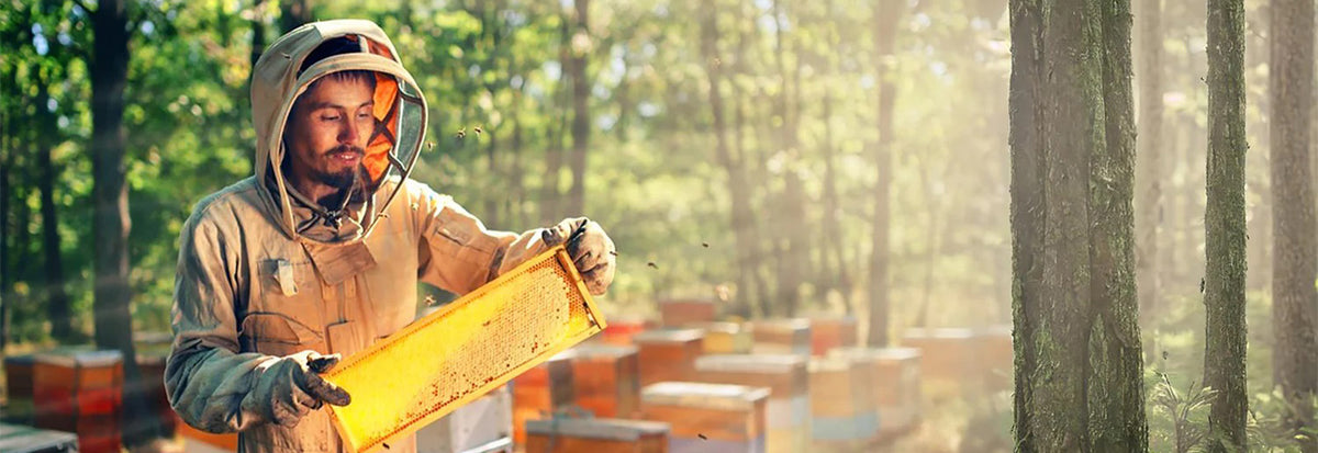 beekeeping in India, organic honey farming, raw honey production, natural honey harvesting, ethical beekeeping practices, sustainable honey farming India, forest honey collection, pure honey sourcing, apiary farming India, honeycomb harvesting process, natural beekeeping lifestyle, wild forest honey India, farm to table honey, eco friendly honey production, artisanal honey India, chemical free honey sourcing, traditional beekeeping India, rural honey farmers India, biodiversity and beekeeping, pollination a
