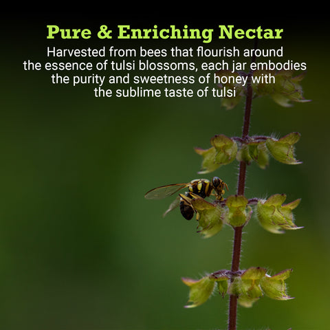Tulsi Honey