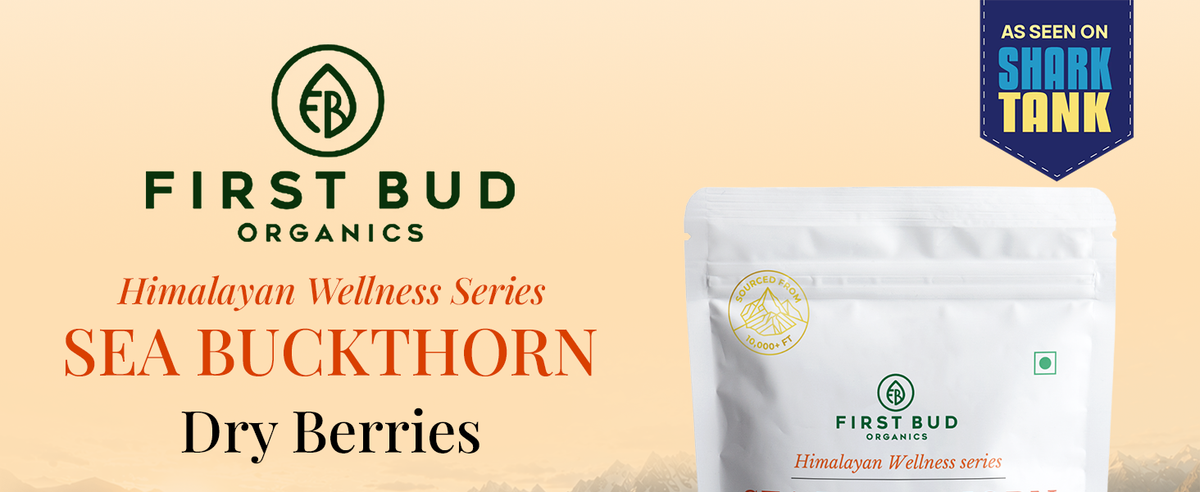 Organic Sun Dried Sea Buckthorn Berries (100g)
