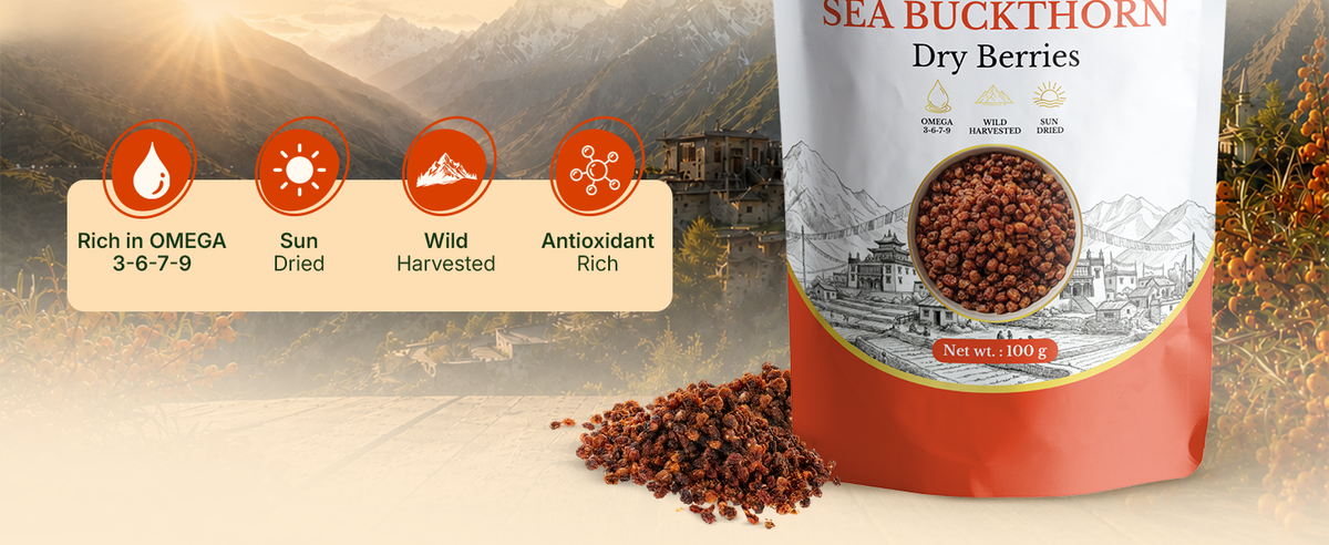 Organic Sun Dried Sea Buckthorn Berries (100g)