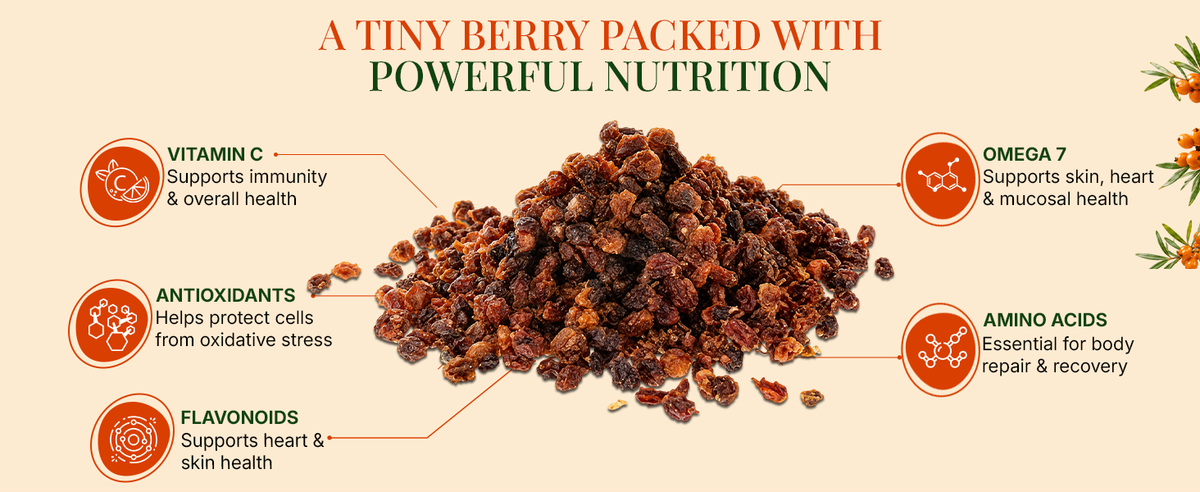 Organic Sun Dried Sea Buckthorn Berries (100g)