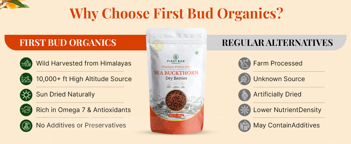 Organic Sun Dried Sea Buckthorn Berries (100g)