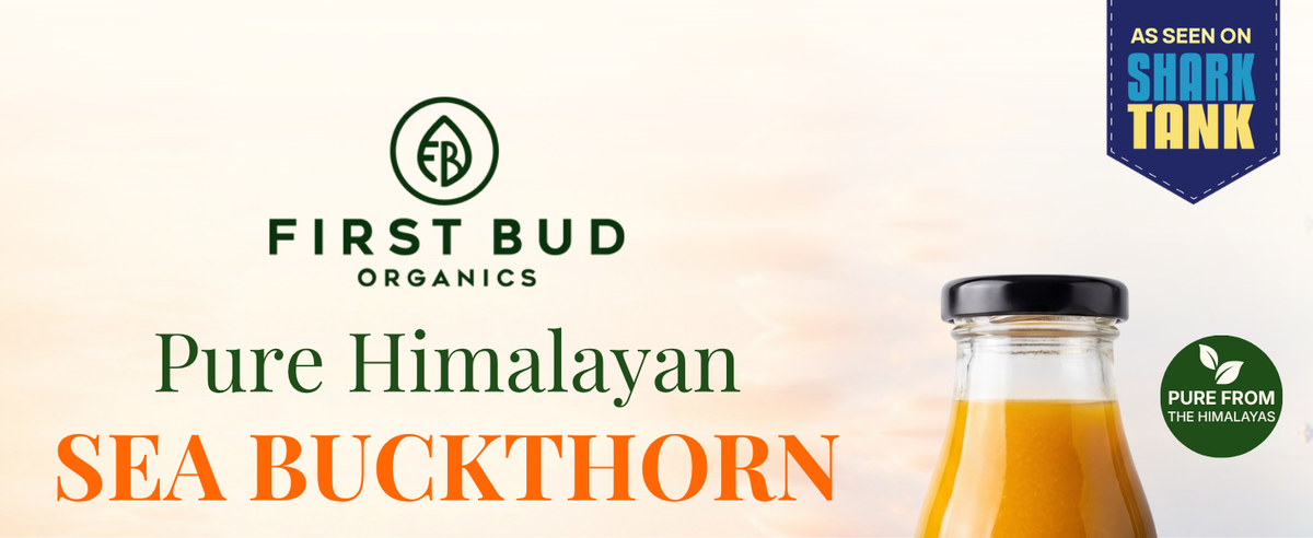 Sea Buckthorn Juice Concentrate 300ml