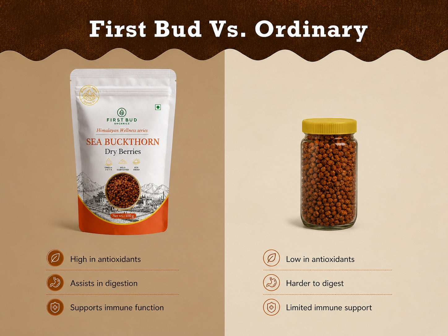 Organic Sun Dried Sea Buckthorn Berries (100g)