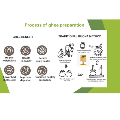 Traditional bilona method steps for First Bud A2 Gir ghee